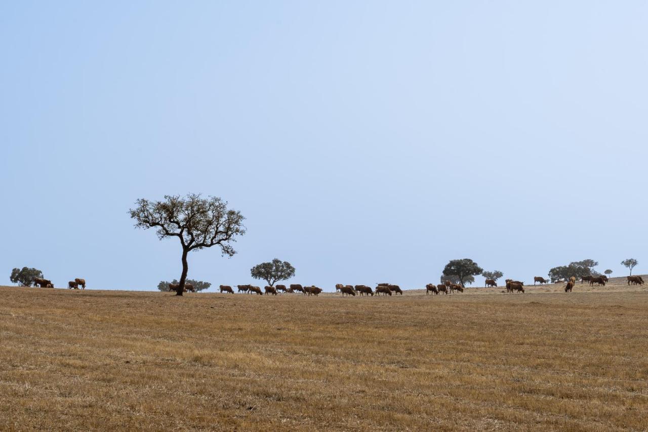 Change The World - Herdade Monte Do Peral Montes Juntos Exterior foto